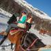 Lanin National Park Horseback Riding Tour: Quila Quina Valley and Mapuche Culture