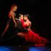 Rojo Tango Show with Optional Dinner in Buenos Aires