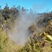Hilo Hot Steam Volcano Tour