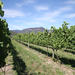 Private Luxury Blue Mountains Day Trip Including Lunch and Wine Tasting