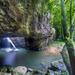 Springbrook and Tamborine Rainforest Tour Including Natural Bridge and Glow Worm Cave