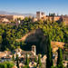 Malaga Shore Excursion: Skip-the-Line Alhambra and Generalife Gardens Tour in Granada