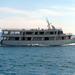 8-Day Croatia Cruise from Dubrovnik to the Dalmatian Coast