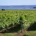 Small-Group Annapolis Valley Wine and Food Tour from Halifax