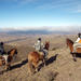 Mendoza Horseback Riding Tour with Traditional Argentine Asado