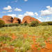 4-Day 4WD Camping Tour: Uluru, Kata Tjuta and Kings Canyon