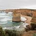 Melbourne Combo: Great Ocean Road Day Trip and Phillip Island Day Trip from Melbourne