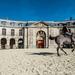 Behind the Scenes of the Royal Stables at Versailles Palace