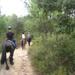 Horseback Riding Tour in Natural Park from Barcelona