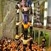  Small-Group Catalonia Tour in Barcelona: Catalan Food and Human Tower Display