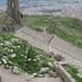 Pergamum Acropolis and Asclepion Tour from Dikili Port with Private Guide 