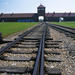 Auschwitz-Birkenau Museum and Memorial Guided Tour from Krakow