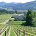 Willamette Valley Wine-Tasting Tour from Portland