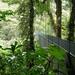 Monteverde Cloud Forest and Butterfly Garden from Guanacaste