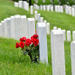 Arlington National Cemetery and War Memorials Tour