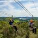 Auckland Shore Excursion: Waiheke Island Tour With Zipline Adventure