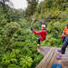 Rotorua Forest Zipline Canopy Adventure
