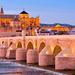 Cordoba Day Trip from Malaga