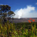 Hawaii Volcano Eco-Adventure Day Trip from Oahu