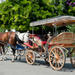 Princes’ Island Tour from Istanbul: Buyukada