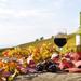 Taste of Castelli Romani: Day Trip Including Santa Benedetta Winery from Rome
