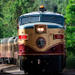 Napa Valley Wine Train from San Francisco: Gourmet Lunch, Wine Tasting and Vineyard Tour