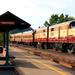Napa Valley Wine Train with Gourmet Lunch and Transport from San Francisco