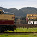 Napa Valley Wine Train with Gourmet Lunch, Wine Tasting and Vineyard Tours