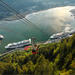 Whale-Watching Cruise with Seafood Lunch or Dinner atop Mt Roberts