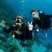 Huatulco Beginner or Certified Scuba Diving