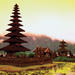 9-Day Best of Bali Tour: Ubud, Sidemen, Mt Batur, Lovina and Bedugul
