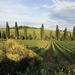 3-Day Tuscany and Cinque Terre Experience with Limoncino Tasting 