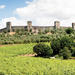 Chianti and Castle Tour