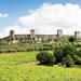 Chianti and Siena Half Day Tour with Dinner
