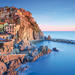Cinque Terre Day Tour from Florence