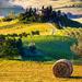 Full-Day Fiat 500 Tour along Val d'Orcia Roads from San Gimignano