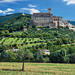 Full Day Tour to Assisi Cortona and Perugia from San Gimignano