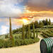 Half-Day Afternoon Chianti Tour from Montecatini