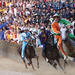 Siena's Palio Horse Race from Florence Including Sightseeing Tour and Dinner