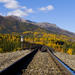 Talkeetna Rafting and Rail Tour from Anchorage