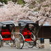Private Custom Tour: Kyoto in One Day