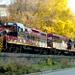 Cape Cod Scenic Shoreline Train with Optional Lunch or Supper