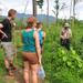Opium Trail Trek Including Wat Phra That Doi Suthep and Hmong Village Tour