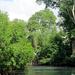 The Original Mangrove and Beach Experience from Punta Cana