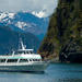Kenai Fjords National Park Cruise from Seward