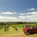 Private Tour: Mornington Peninsula Behind-the-Scenes Gourmet Food and Wine Tasting Experience