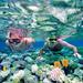 Catalina Island Snorkel Excursion from Punta Cana
