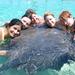 Sharks Stingrays and Sea Lions from Punta Cana