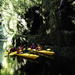 Tauranga Shore Excursion: Scenic Lake McLaren Kayak Tour