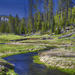 Yellowstone National Park Small-Group Wildlife Safari
